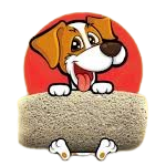 Pet Hair Remover for Furniture, Carpets & Cars – Fur-Zoff